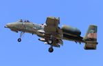 81-0962 @ KLAL - A-10 zx LAL - by Florida Metal