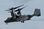 08-0048 @ LMML - Bell-Boeing CV-22V Osprey O08-0048 United States Air Force - by Raymond Zammit
