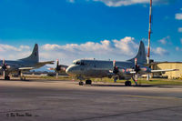 158919 @ NSY - A P3C 158919 from VP-16 at Sigonella Italy in 2002 - by Ray Hanson