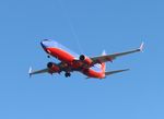 N8647A @ KTPA - TPA 2022 - by Florida Metal