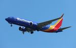 N8805L @ KTPA - TPA 2022 - by Florida Metal