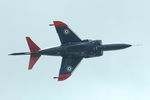 XW175 @ EGDY - QinetiQ Hawker Siddeley Harrier T4A(VAAC) at RNAS Yeovilton Air Day 2008 - by Van Propeller