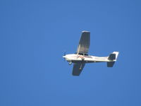 N60395 - Flying overhead - by Jennifer Birkel