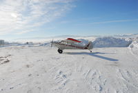 N96186 @ KAFO - A beautiful Husky braving the snow and cold on Aviat's ramp - by WILLIAM BLEAZARD