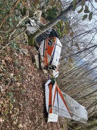 F-BLPN - Crash, maybe in 1974 in Saint-Maurice de Rhoterens. Still possible to see the crash plane. Picture take today 30th march 2023. - by Elodie BOIVIN