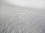 ZK-HHO photo, click to enlarge ZK-HHO photo, click to enlarge