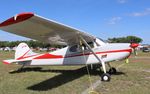 N2715D @ KLAL - Cessna 170B - by Mark Pasqualino