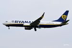 EI-IGW @ EBBR - Landing at Brussels Airport. - by Jef Pets