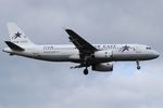 YR-SEA @ EDDK - Arrival from Hurghada. Star East Airlines. - by Koala