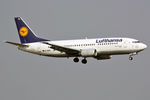 D-ABXL @ EHAM - at spl - by Ronald