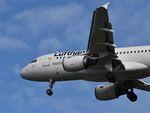 D-AILF photo, click to enlarge