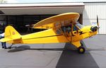 N7359H @ 10C - Piper J3C-65 - by Mark Pasqualino