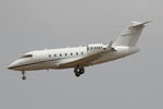 D-AAAX @ LMML - Bombardier Challenger D-AAAX Air Indipendence - by Raymond Zammit