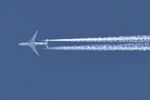 N769UA photo, click to enlarge