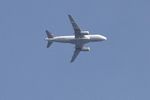 N889UA photo, click to enlarge