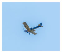 N9372 - Photographed flying overhead at Staveley Nature Reserve in North Yorkshire (54°3'46.147 N 1°26'12.867 W). I was photographing Dragonflies at the time! - by Alan Williams
