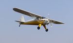 N71537 @ 10C - Luscombe 8A - by Mark Pasqualino