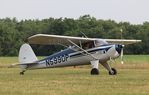 N5990P @ 88C - Luscombe 8A - by Mark Pasqualino