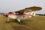 N5238Z @ 88C - Piper PA-22-108 - by Mark Pasqualino