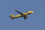 N981NK @ KORD - Spirit Airlines A20N N981NK NKS1785 ATL-ORD - by Mark Kalfas