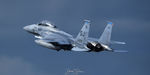 89-0499 @ KPSM - COWBOY62 on the missed - by Topgunphotography