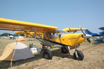 N801PZ photo, click to enlarge