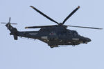 MM81822 photo, click to enlarge