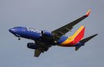 N433LV @ KTPA - SWA 737 nc zx DAL-TPA - by Florida Metal