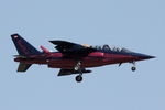 OE-FRB @ LMML - Dassault Dornier Alpha Jet A OE-FRB The Flying Bulls - by Raymond Zammit