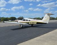 N3039K - 1979 Piper PA-28RT-201T - by N3039K