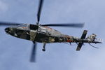 H46 photo, click to enlarge H46 photo, click to enlarge