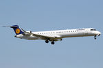 D-ACKF @ EBBR - at bru - by Ronald