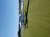 N8538M - Triple Tree - by Arthur