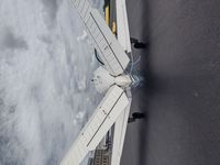 N8538M - Nice Tail - by Arthur