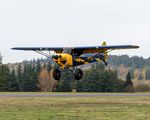 N509B @ KAWO - KAWO - by Terry Green