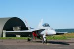 J-5020 @ LFSX - McDonnell Douglas FA-18C Hornet, Flight line, Luxeuil-Saint Sauveur Air Base 116 (LFSX) - by Yves-Q
