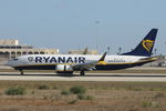 EI-HAX photo, click to enlarge EI-HAX photo, click to enlarge