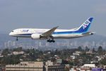 JA822A @ KLAX - ANA 788 zx RJTT /HND - LAX - by Florida Metal
