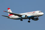 OE-LBQ @ EHAM - at spl - by Ronald