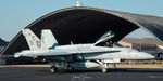 164274 photo, click to enlarge