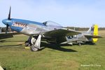 OO-PSI @ EBBT - Flying Festival at Brasschaat. - by Raymond De Clercq