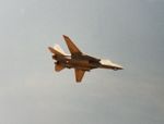 163897 - F-14 zx Air and Water Show Chicago - by Florida Metal