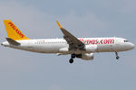 TC-DCD @ EHAM - at spl - by Ronald