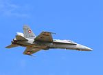 J-5015 @ LFSI - McDonnell Douglas FA-18C Hornet, On display, St Dizier-Robinson Air Base 113 (LFSI) - by Yves-Q