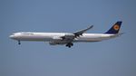 D-AIHV @ KLAX - DLH A346 zx MUC-LAX - by Florida Metal