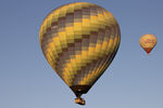 TC-BFU photo, click to enlarge