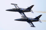 ES-TLB @ LFSI - Aero L-39C Albatros, Fly & Fun french team, On display, St Dizier-Robinson Air Base 113 (LFSI) - by Yves-Q