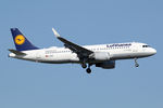 D-AIZP @ EHAM - at spl - by Ronald