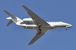 N784XJ photo, click to enlarge