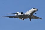 N784XJ photo, click to enlarge
